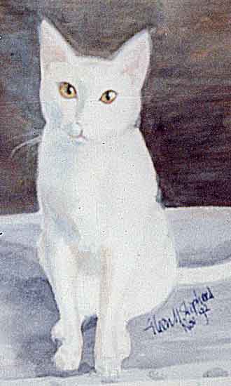 white cat sketch